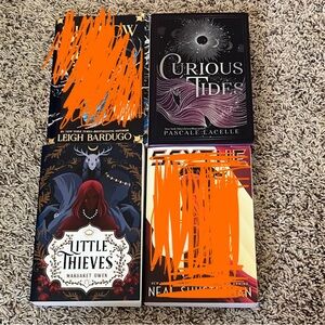 Set of 2 Fantasy Novels